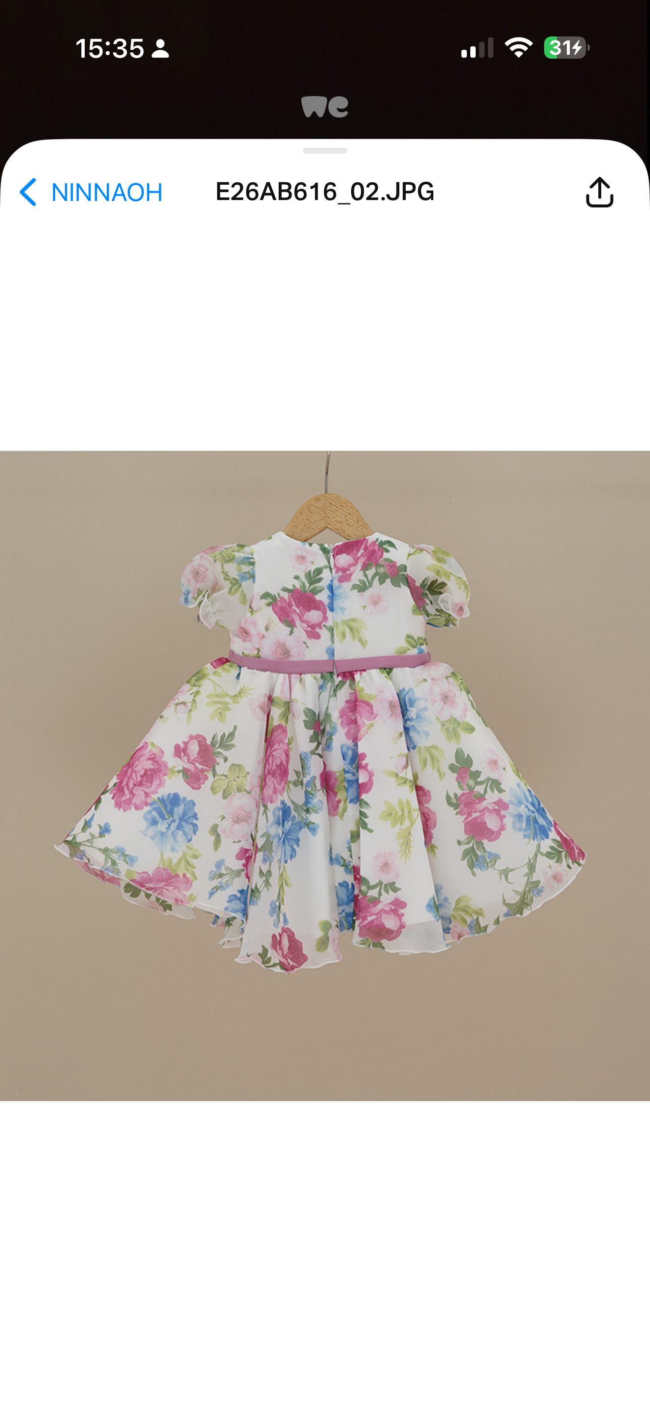 Ninnoah pink & blue roses dress